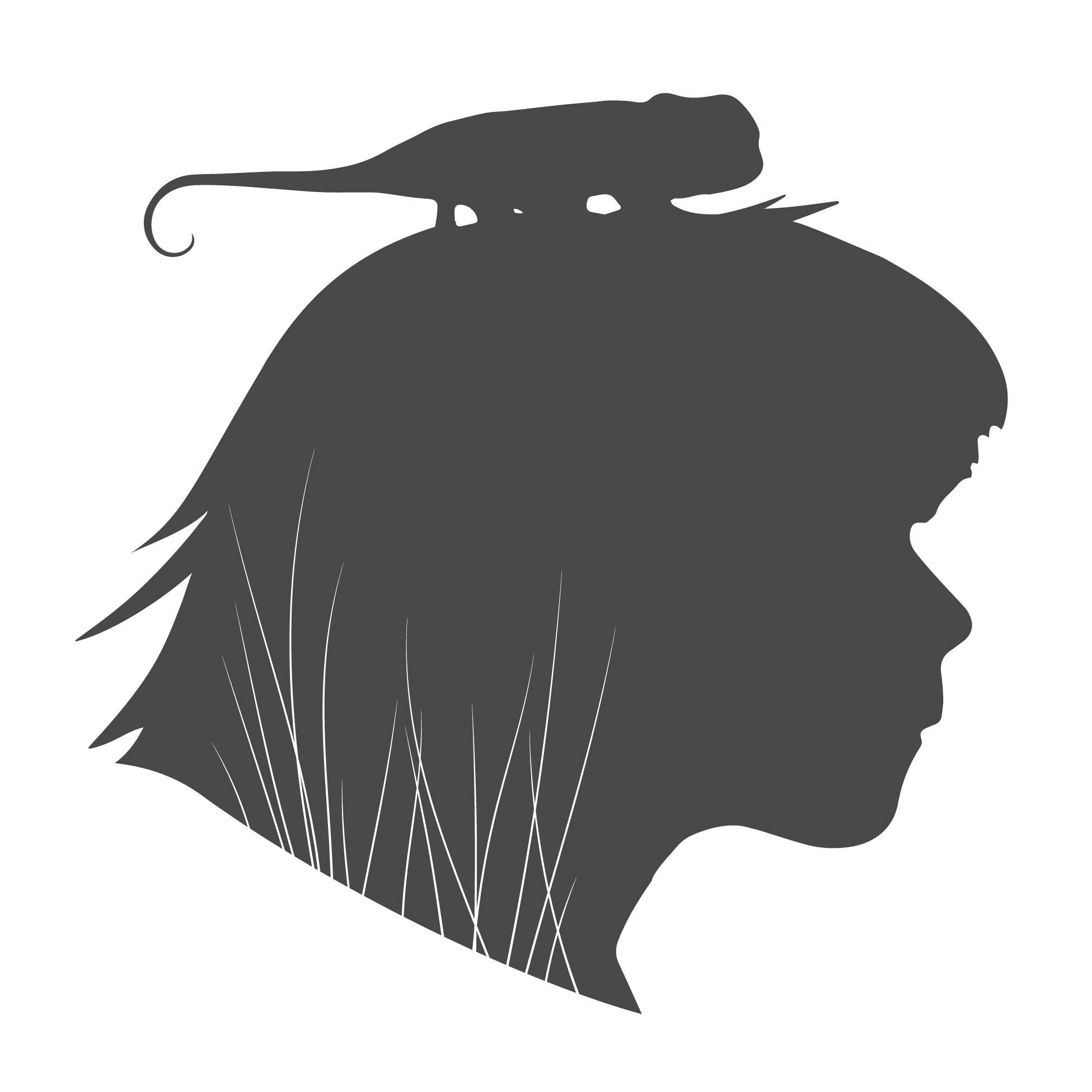 TRUST THE WILD FILMS